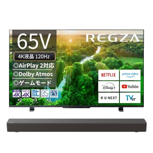 レグザ 65インチ 4K液晶テレビ 65M550L 4Kチューナー内蔵 外付けHDD 裏