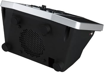 Amazon.com: Boss JS-10 eBand : Musical Instruments