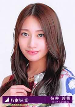 411YK9pDXJL._AC_UF350,