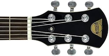 Amazon | PIGNOSE (ピグノーズ) アンプ内蔵ミニギター PGG-200 BLACK