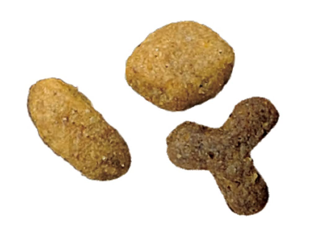 Amazon | ピュリナワンキャット 美味を求める成猫用 1歳以上 サーモン