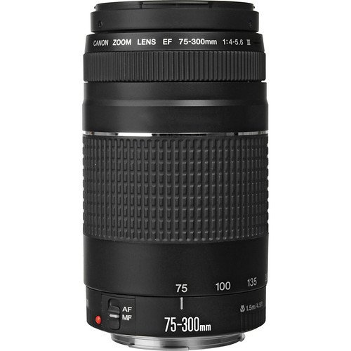 Amazon.com : Canon EF 75-300mm f/4-5.6 III Telephoto Zoom Lens