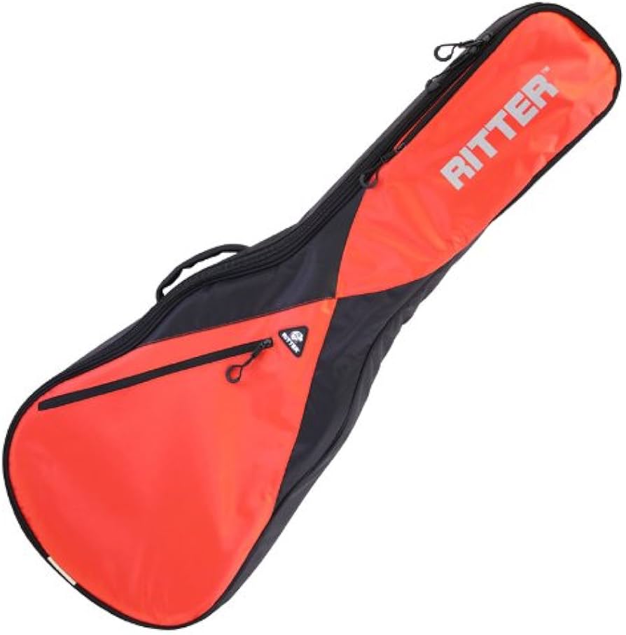 Amazon | RITTER リッター エレキギターケース レスポール用 RGP5-L