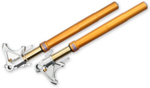 Amazon | OHLINS(オーリンズ) フロントフォークキット 倒立タイプ FG