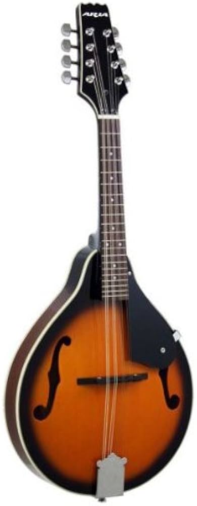 Amazon | ARIA Mandolin AM-20 フラット マンドリン ハードケース付き
