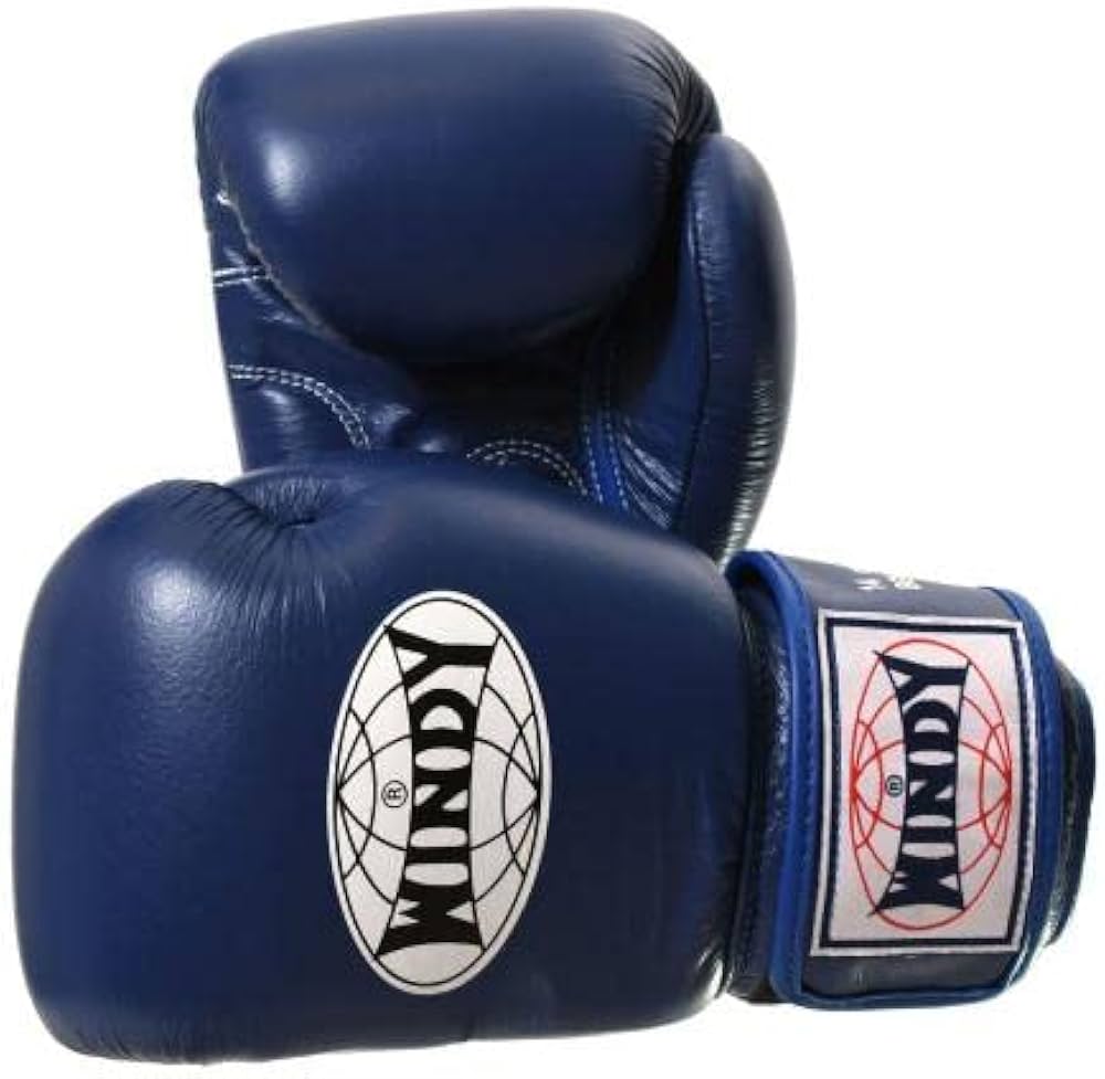 Amazon.co.jp: WINDY ウィンディ グローブ BGVH 本革製 青 Darkblue