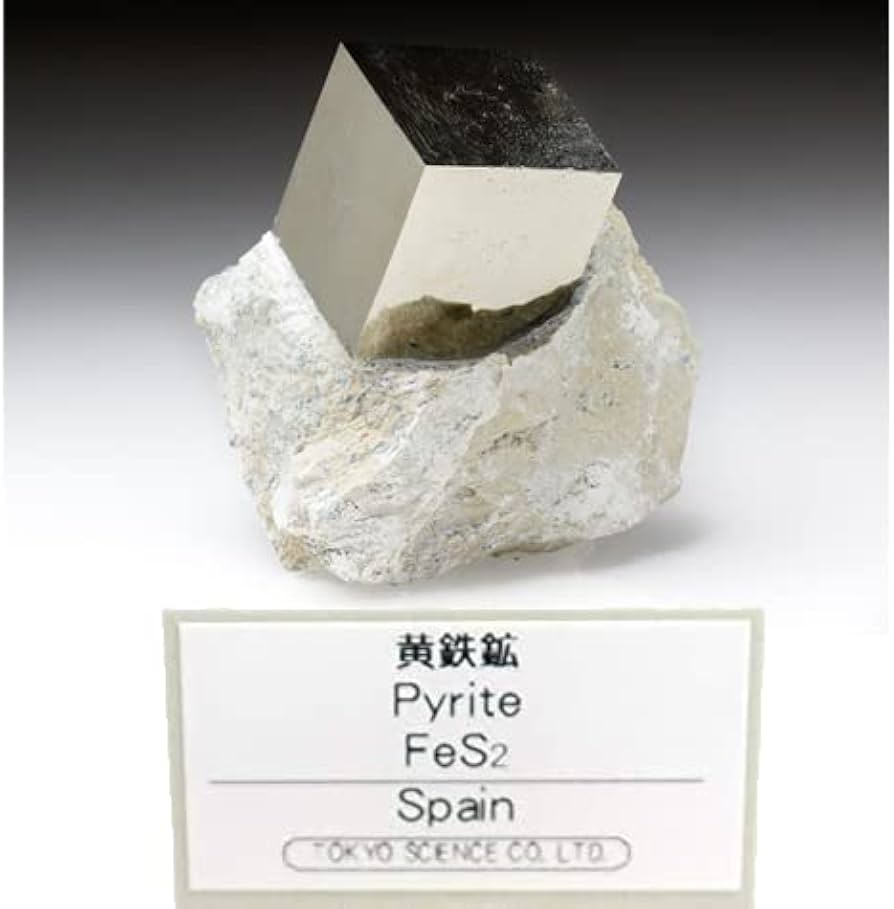 Amazon | SCIENCE 母岩付鉱物標本 鉱物結晶「母岩付 黄鉄鉱 (おうてっ