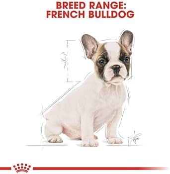Amazon.co.jp: ロイヤルカナン BHN フレンチブルドック 子犬用 3kg