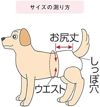 Amazon.co.jp: うんぽパンツ L・30枚 犬 オムツ うんちポケット付き