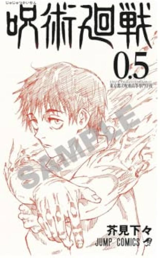 呪術廻戦 0巻〜21巻 0.5巻 公式ファンブック 19巻特典