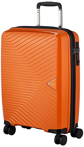 シフレ グリーンワークス 49cm GRE2081-49 (スーツケース・キャリー