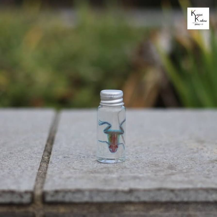 Amazon.co.jp: 透明標本 アフリカツメガエル skelton スケルトン
