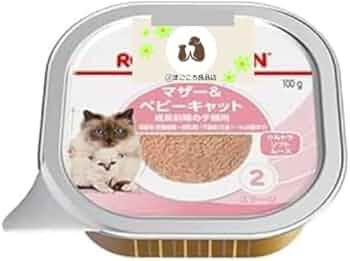 41FyunsFghL._AC_UF350,