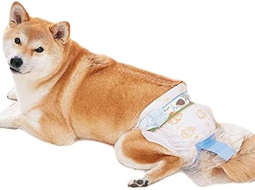 Amazon.co.jp: うんぽパンツ M・32枚 オムツ うんちポケット付き 犬