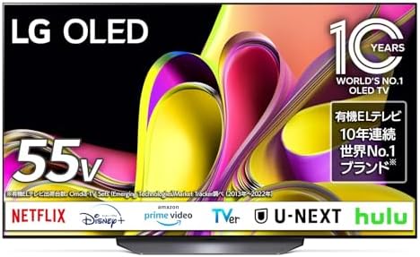 LG 48型 2022年製 Alexa搭載 OLED48A2PJA 4K有機EL