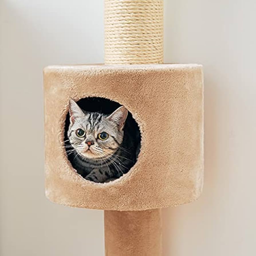 Amazon | おうちで木登りタワーボックス付き (突っ張り型) 猫 ねこ