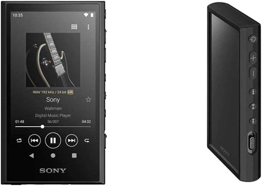 SONY ウォークマン NW-A306 デジタルプレーヤー 純正ケース付き SONY