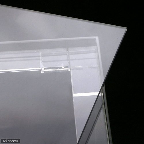 水槽のフタ選び・ポイントと注意点！自作や特注など理想のフタを考える