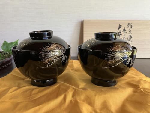 漆器輪島塗木製金蒔絵牡丹文沈金蓋付椀汁椀10客時代物