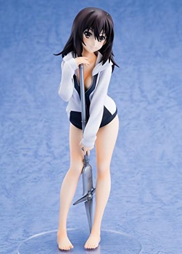 Amazon.co.jp: アルター ストライク・ザ・ブラッド 姫柊雪菜 : Hobbies