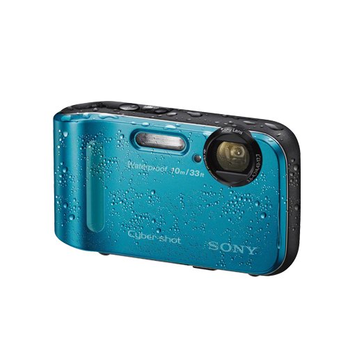Amazon.com : Sony DSC-TF1/L 16 MP Waterproof Digital Camera with