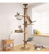 Amazon | CozyMeow キャットタワー 突っ張り 木登りタワー 木製