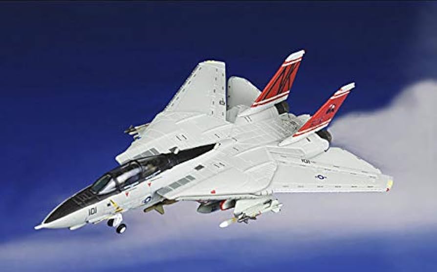 Amazon | HOGAN 1/200 完成品 アメリカ USA F-14D VF-31 TOMCATTERS