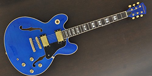 プレイテック セミアコースティックギター Amazon | 【国内正規品