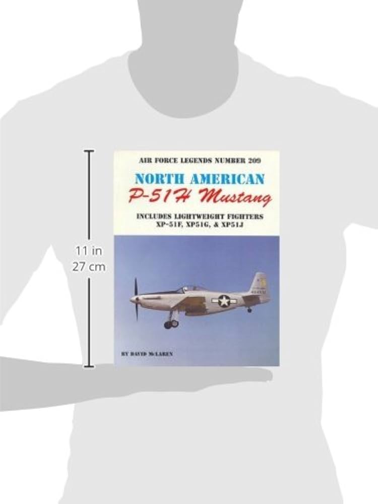 P-51 mustang 値段提示お願いいたします P-51 mustang 値段提示お願い