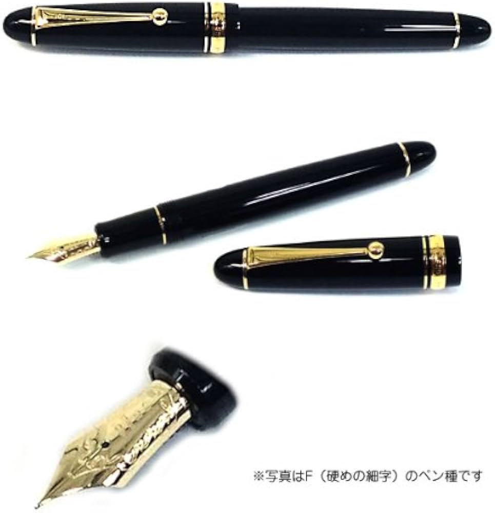 Amazon | パイロット 万年筆 カスタム742 ペン種：14K 10号／軸色