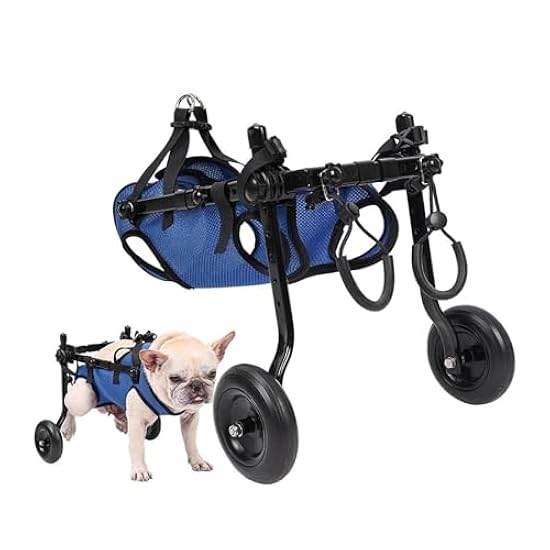 オカメインコ 赤栗穂 A 級 B級 C級 お問い合わせページ 【公式通販】