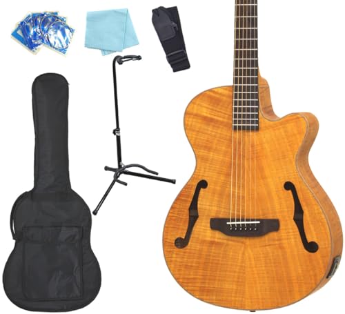 美品 ARIA アリア Fホールエレアコ FET-F2 STBK ARIA FET-F2 Stained