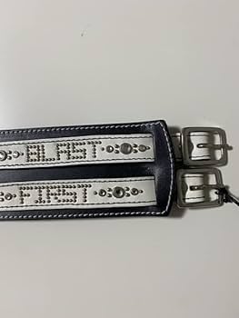 Amazon.co.jp: MODERN PIRATES×GLAY TERU ファンクラブ限定 コラボ