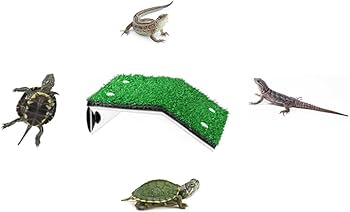 Amazon | POFUIERKN 亀のバスキングプラットフォーム 亀休憩台 芝生