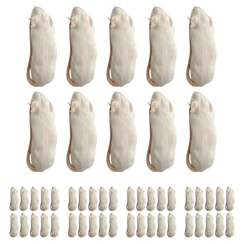 冷凍マウス」の人気商品一覧 | 安い商品を通販サイトから探す - 価格.com