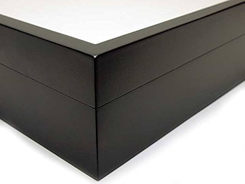 バードウィング 中型ドイツ箱（黒） オオセンチコガネ色彩変異 赤ー緑