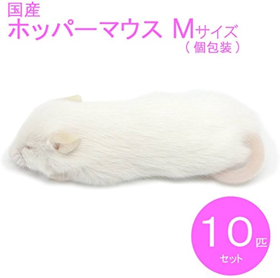 Amazon | 冷凍マウス ホッパーM 10匹 国産 SAfarm | SAfarm | フード