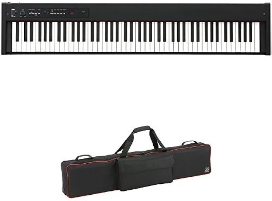 Amazon | KORG 電子ピアノ D1 ソフトケースセット | 電子ピアノ | 楽器