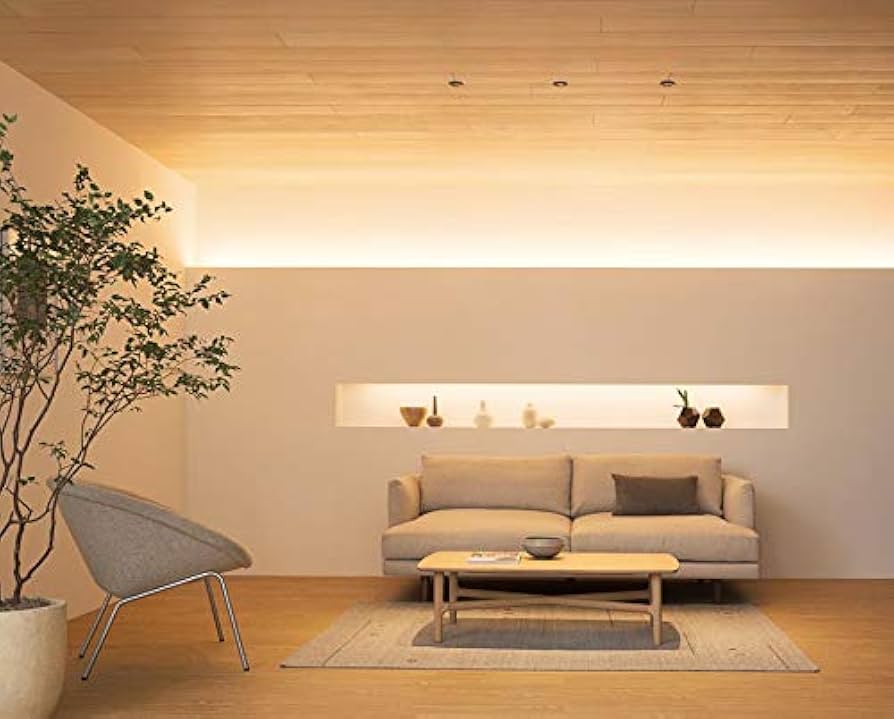 Amazon | オーデリック 間接照明 【OL291475BCR】【OL 291 475BCR