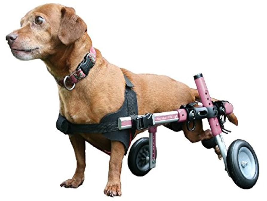 美恵ページ□小〜中型犬用4輪 犬の車椅子 犬の歩行器 +オプション 楽天