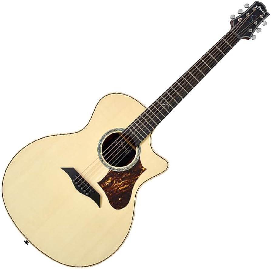 Amazon | アコースティックギター エレアコ Sヤイリ S.YAIRI YAT