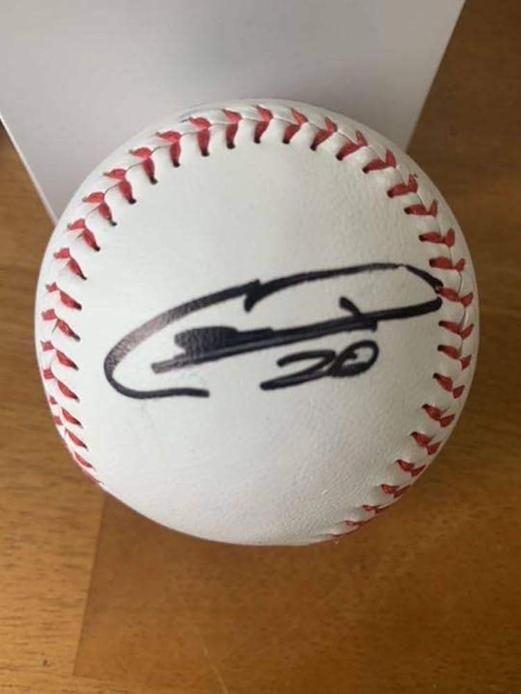 Amazon.co.jp: 限定 ヤクルトスワローズ 木澤尚文投手 直筆サイン