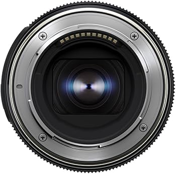 Amazon.com : Tamron 90mm F/2.8 Di III VXD 1:1 Macro for Nikon Z