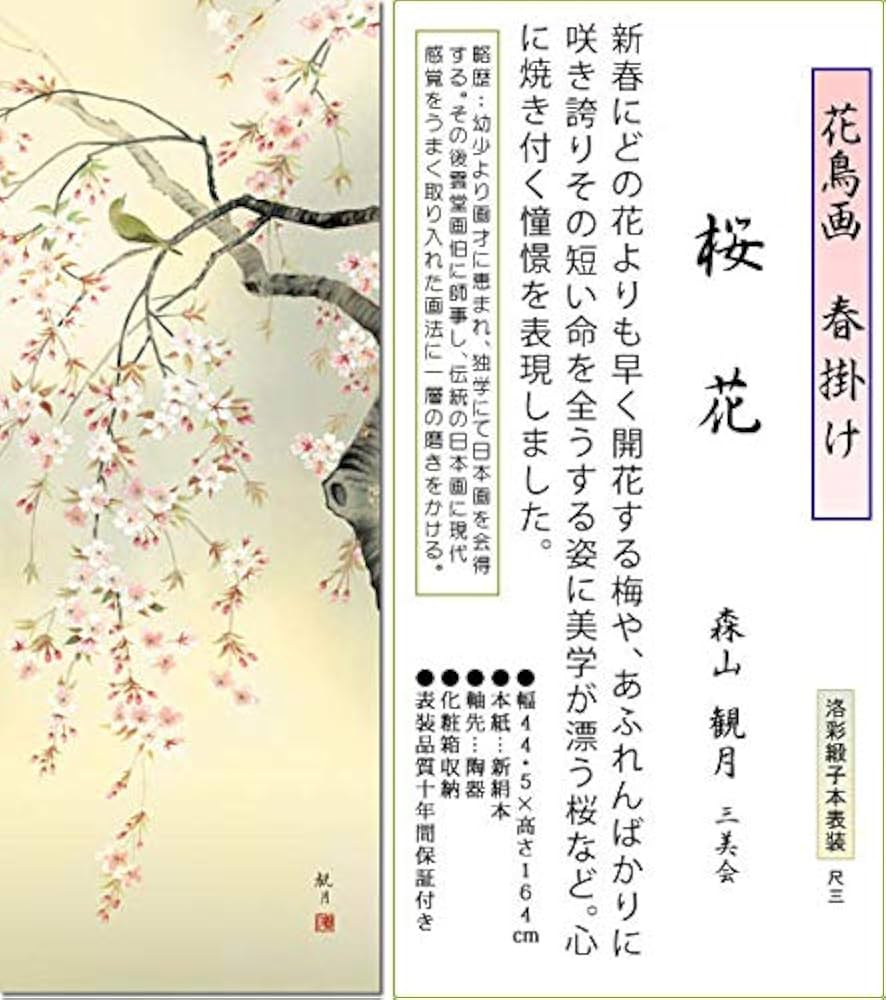 Amazon | 掛け軸 春 桜花・森山観月 尺三 掛軸 桜 床の間 | 絵画生活