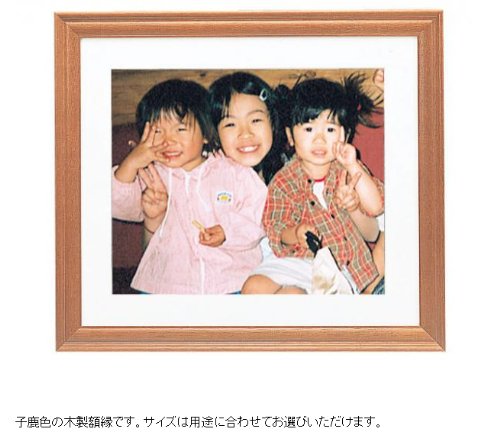 FUJIFILM写真展示用フレーム 全紙2 全紙3枚組2 半切2 4切