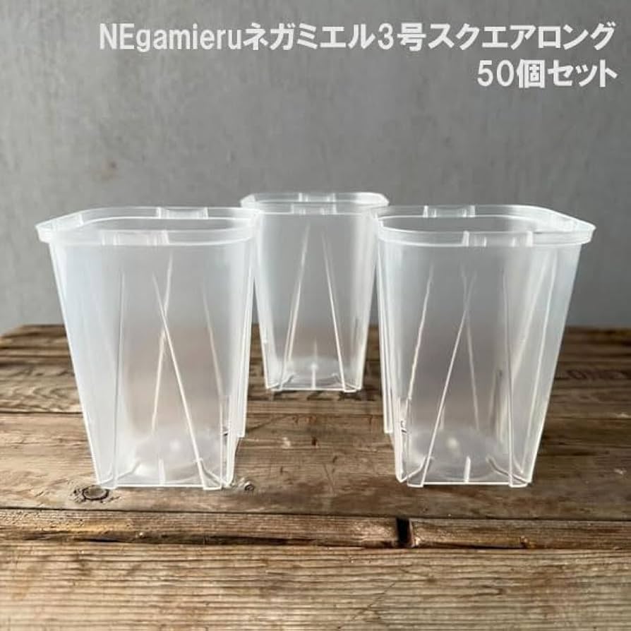 み*し様 乳白 青縁 スミ入れ鉢 み*し様 乳白 青縁 スミ入れ鉢 み*し様