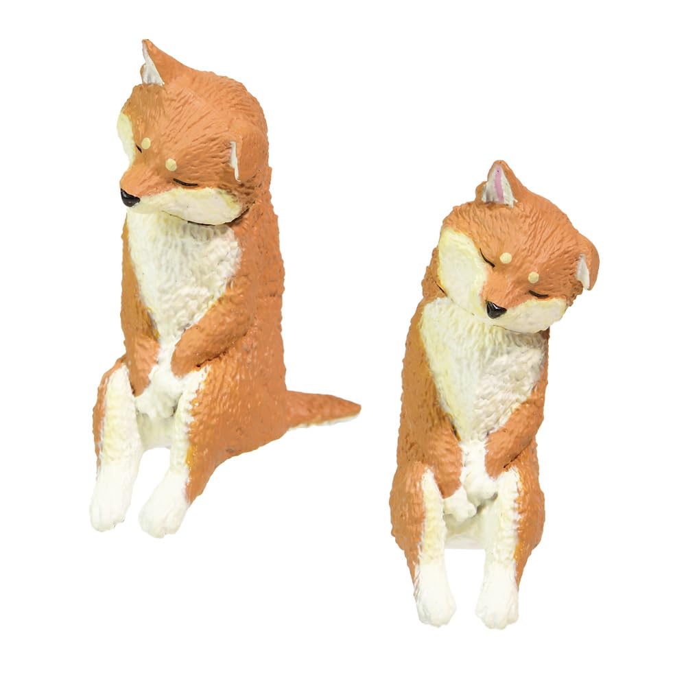 自然動物 フィギュア 狐 猫 犬 1ボックス 202510180134 自然動物