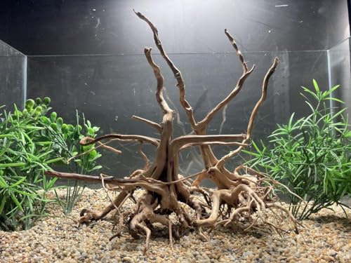 アクアリウムの流木特集！水槽レイアウトにおすすめの種類を解説・ご