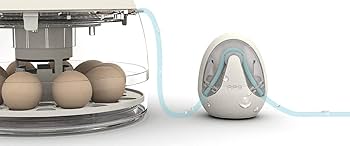 Amazon.co.jp: アールコム Rcom10シリーズ 小型孵卵器 (アールコム