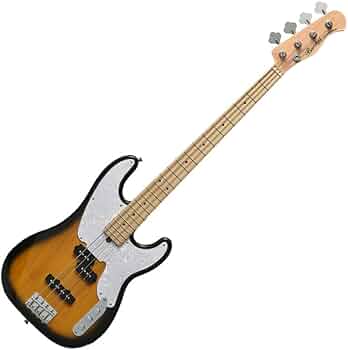 517LMvXZzmL._AC_UF350,